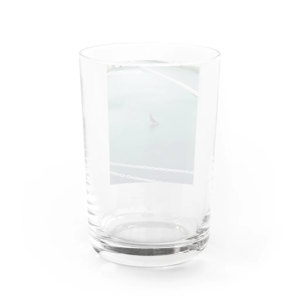 cotoriの鳩さん。 Water Glass :back