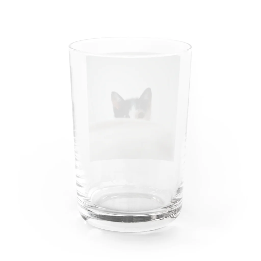 栗崎キントンのhello othello Water Glass :back