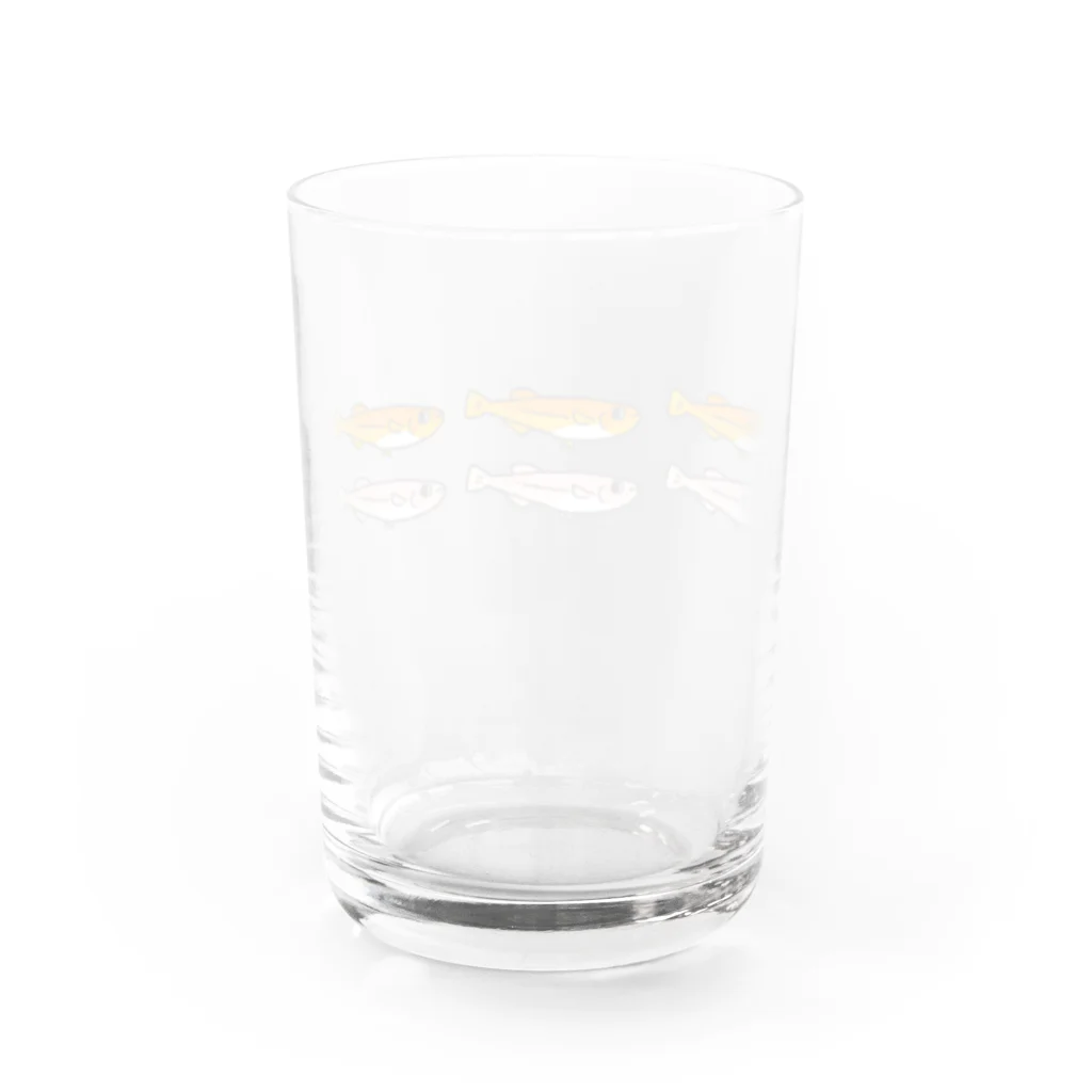 やわらか魚のめだか６匹 Water Glass :back