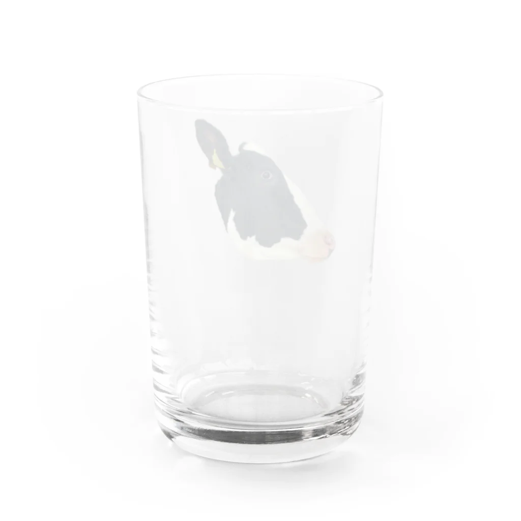 もみのきの私、カワハギ。生っぽい。 Water Glass :back