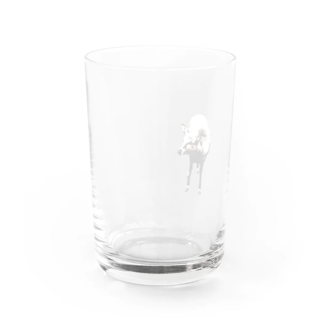 0isall_zoologicalのいつも心にシカちゃんをシリーズ Water Glass :back