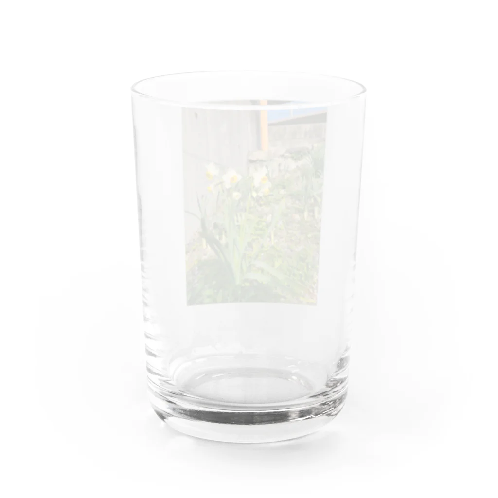 蓮華の春の足音 Water Glass :back