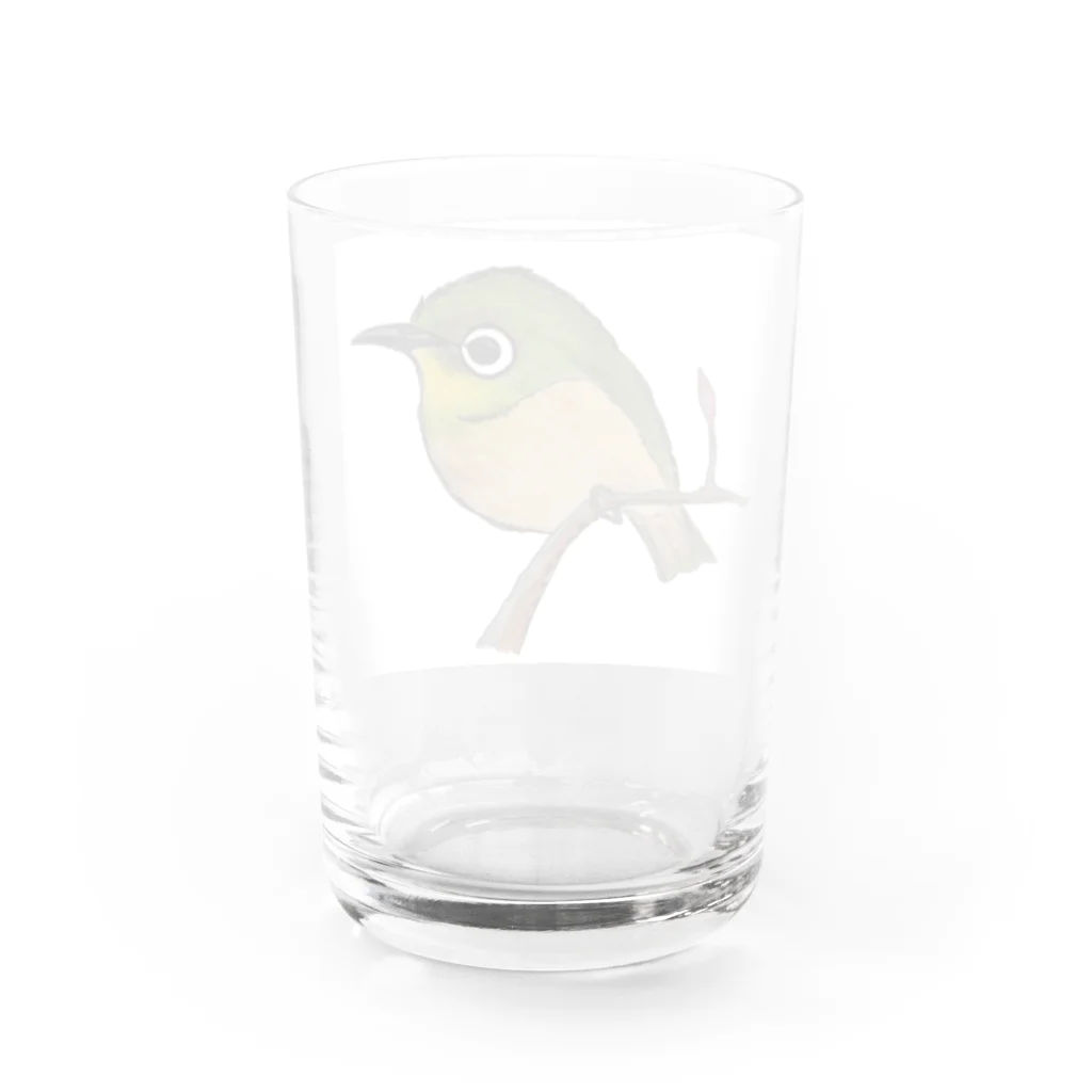 299WORKSのメジロちゃん Water Glass :back