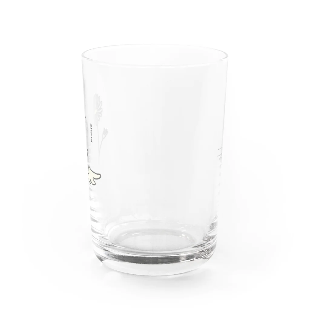 おんまゆずのシオン花柄 Water Glass :back