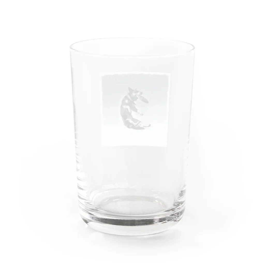 野鳥と犬の竃蔵屋(かまくらや)のディスクドッグ。犬。Disc dog。 Water Glass :back