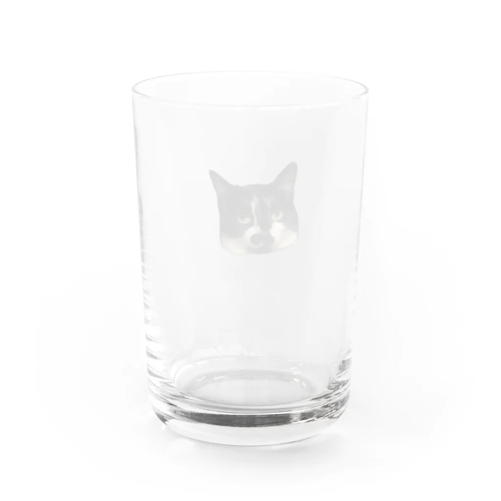 happiness_maiのしかめ面の小豆 Water Glass :back