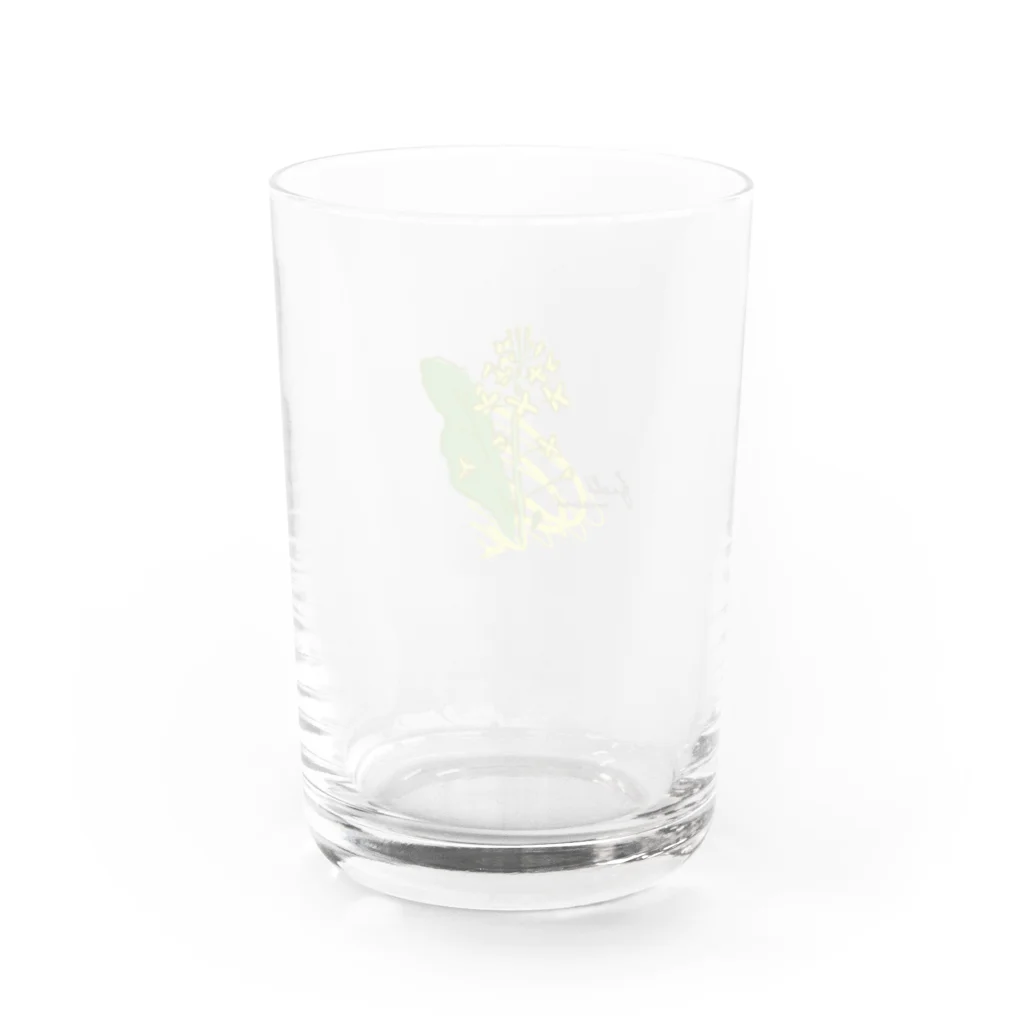 おかかおにぎりの菜の花 Water Glass :back