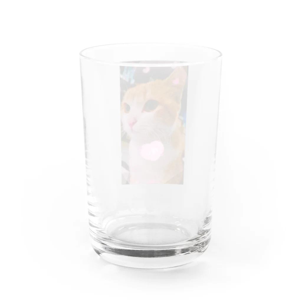 ☪︎Silver・Fox࿐の狐箱屋 Water Glass :back