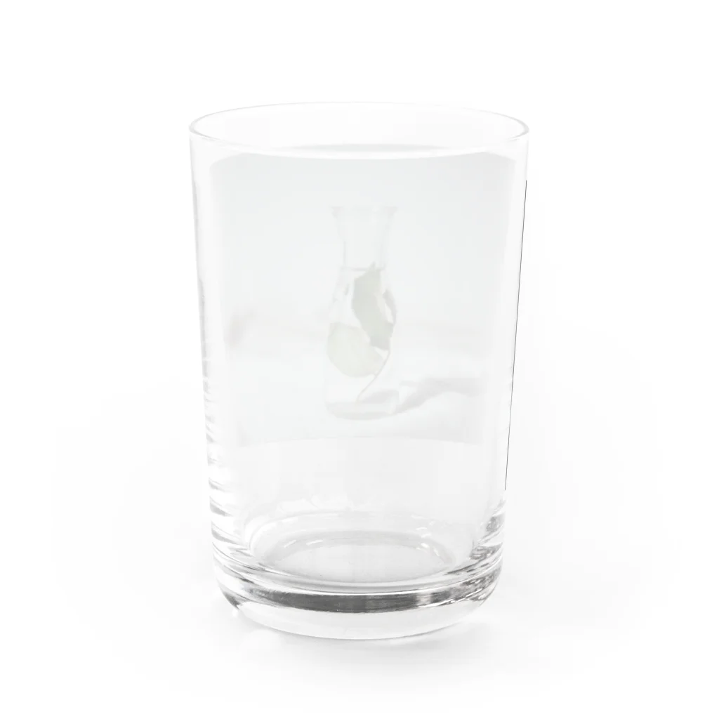 manimaniumの命の標本 Water Glass :back