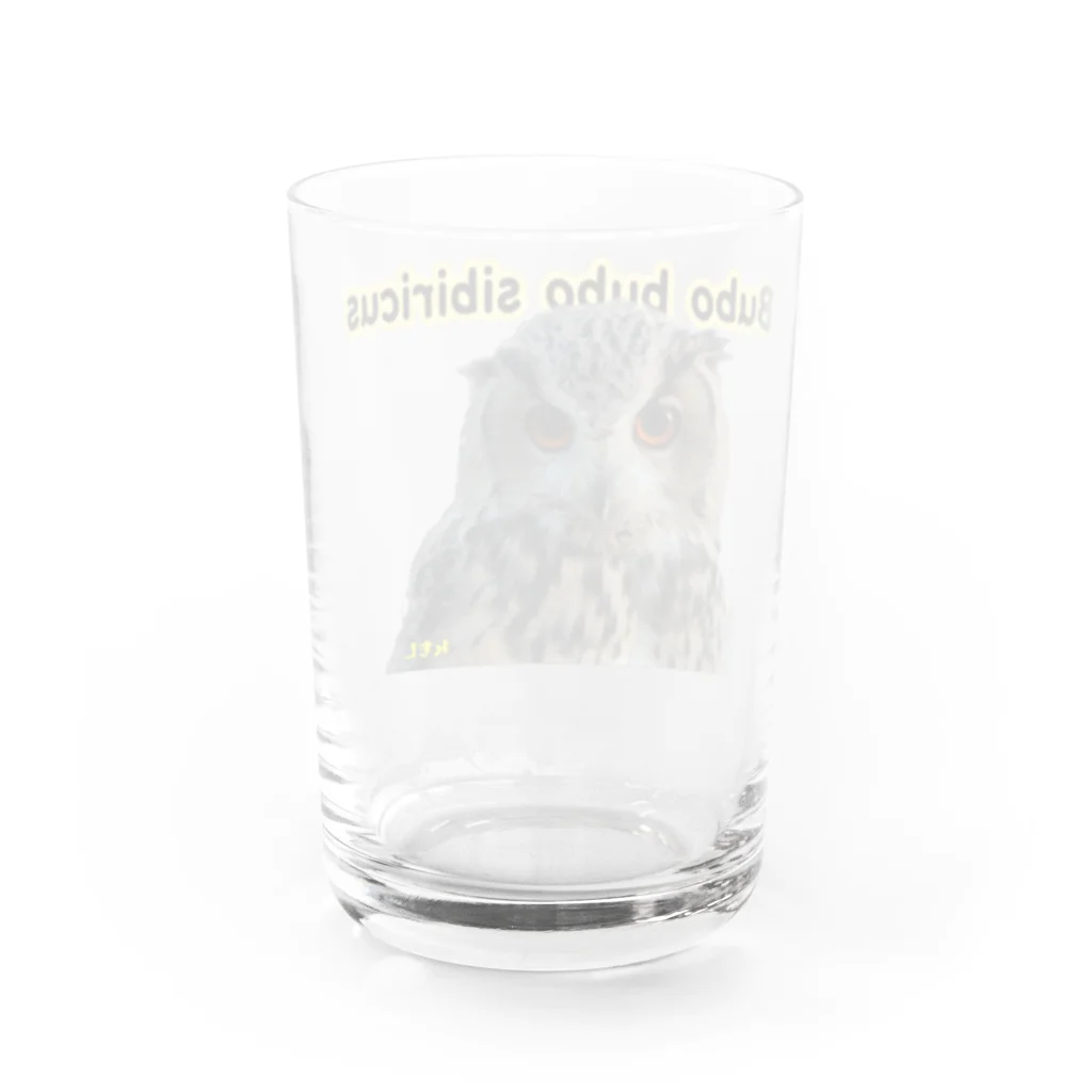 れもんのシベワシズクのれもんです！ Water Glass :back