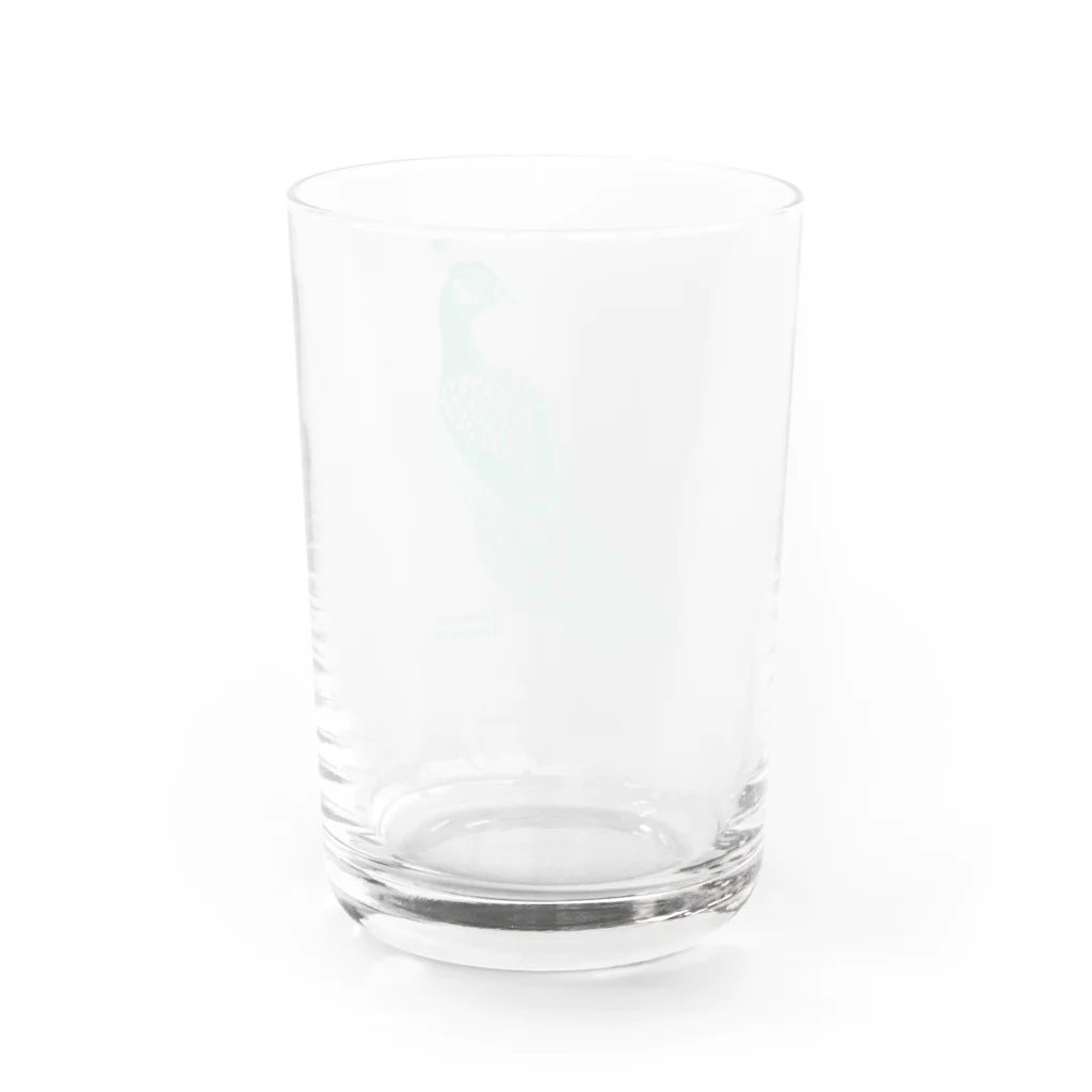 KANAT  LAMHITAの孔雀 Water Glass :back