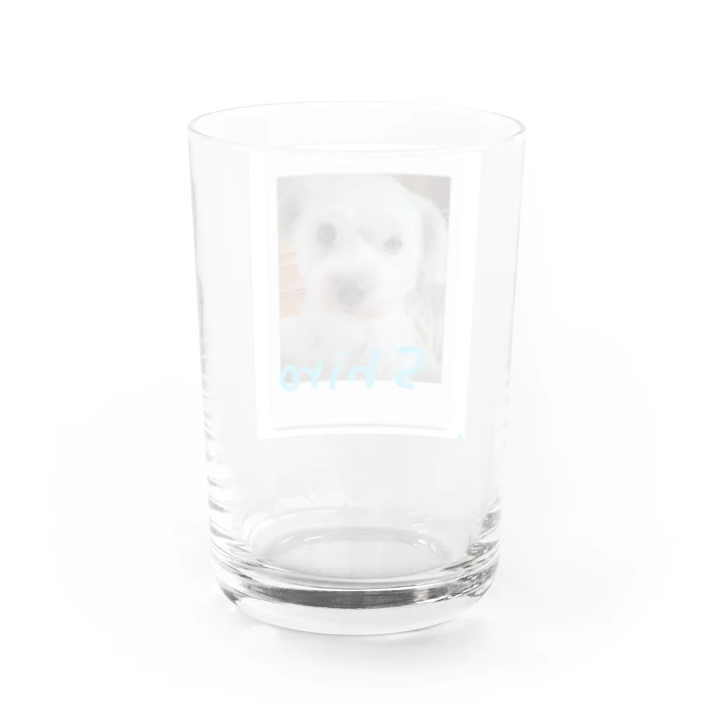 soyboy7のしろたん Water Glass :back