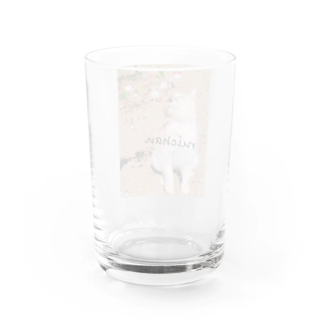 shihoのruichan Water Glass :back