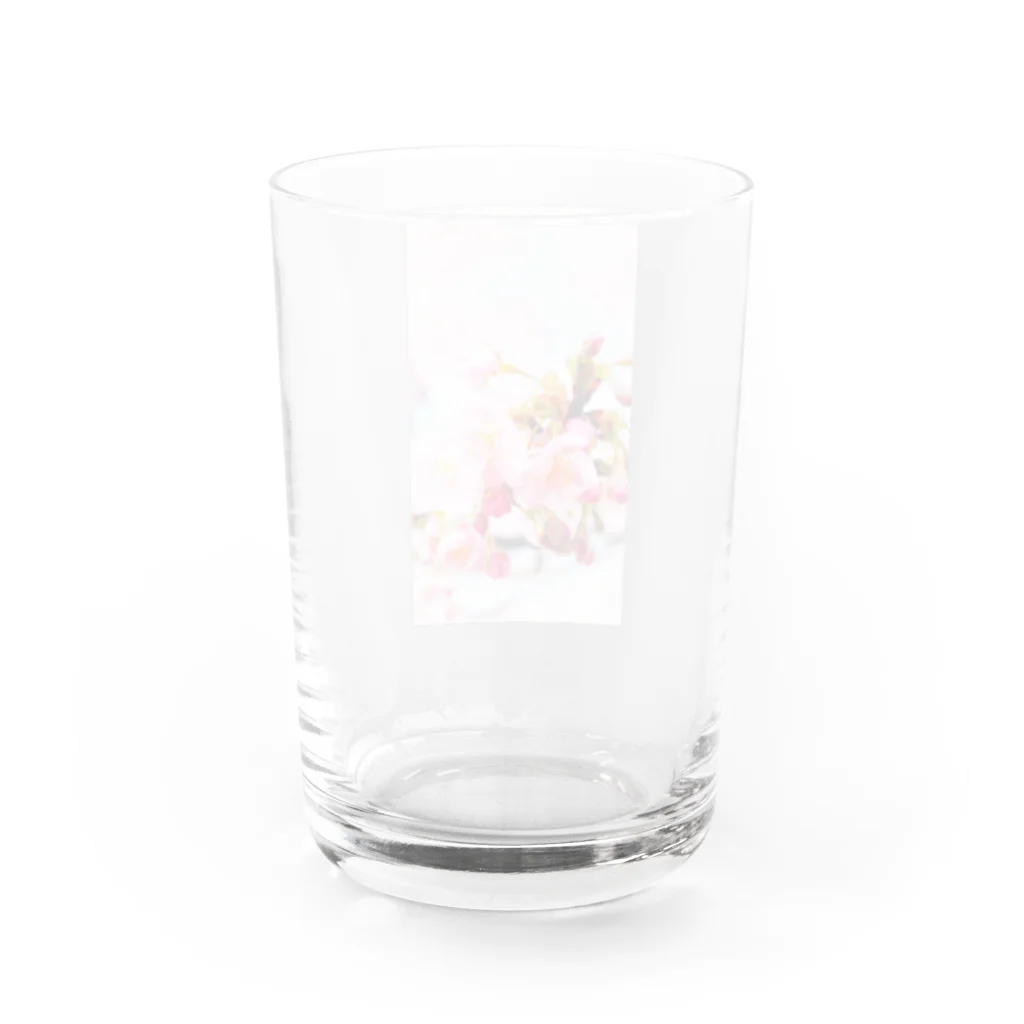 Liuha9805の河津桜ちゃん Water Glass :back