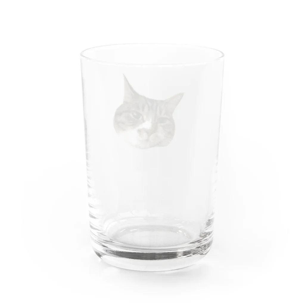 ジャパニャンライフのキジ白ミィの顔ドアップグラス Water Glass :back