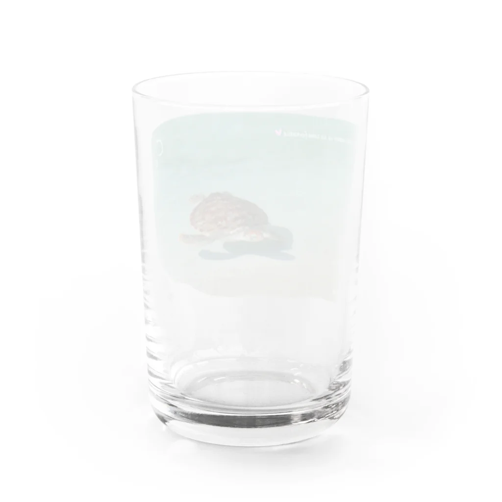 竜の工房・翔 -SUZURI SHOP-のたゆたうウミガメ グラス反対面