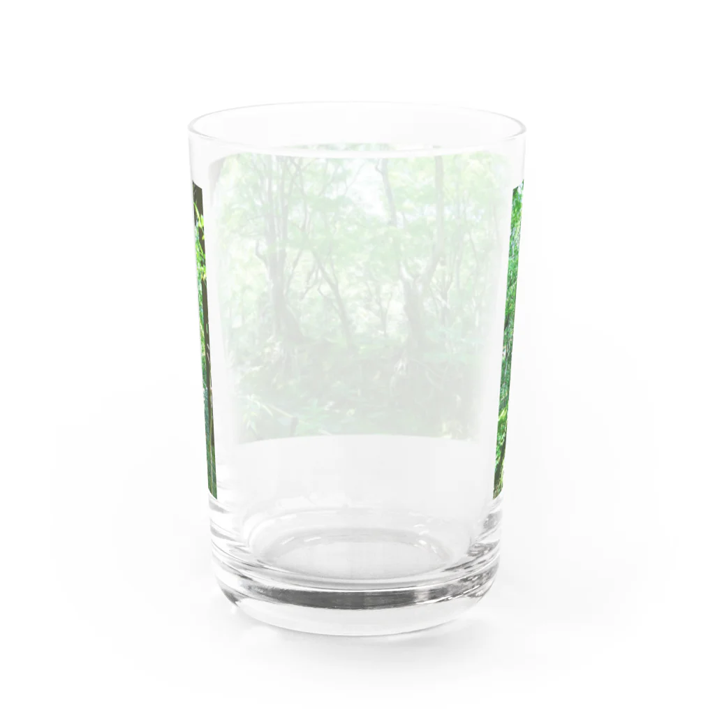 Liuha9805の真夏の寺 Water Glass :back