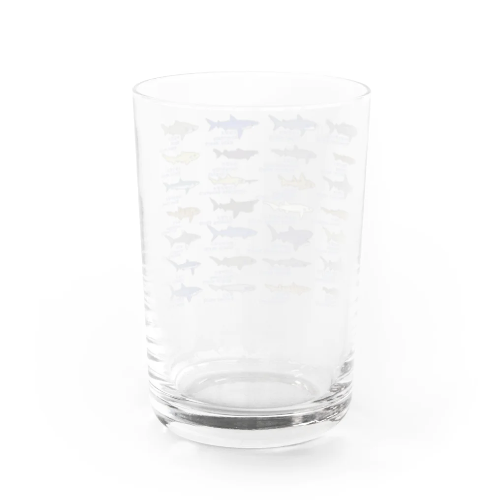 めかぶ商店のサメ図鑑28種 Water Glass :back