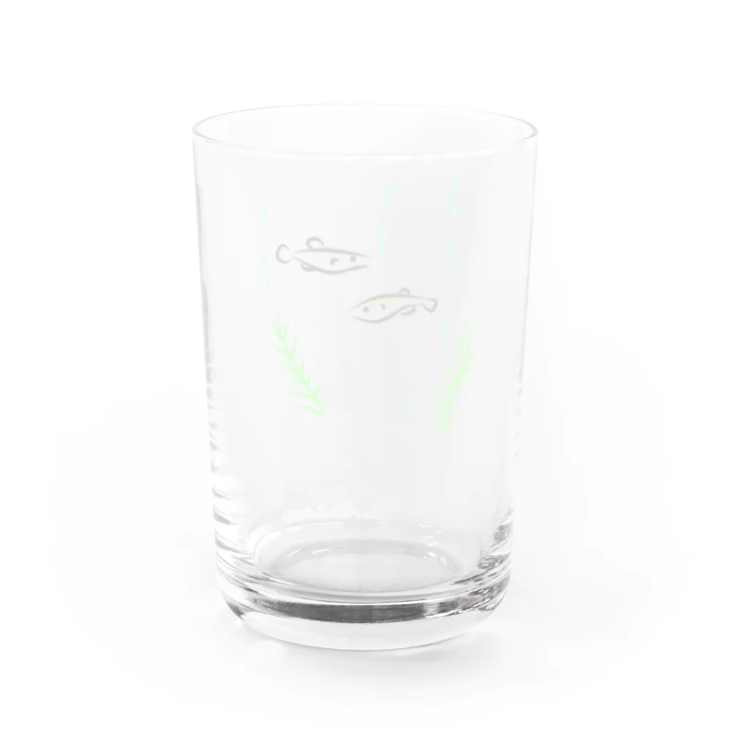 海のサワガニのメダカ Water Glass :back