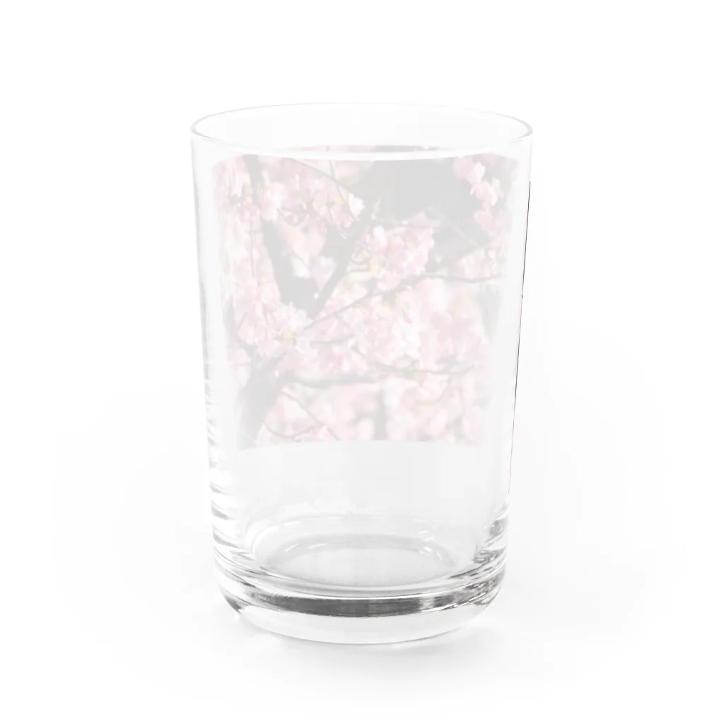 SHOPマニャガハの2021年の桜(№2) Water Glass :back