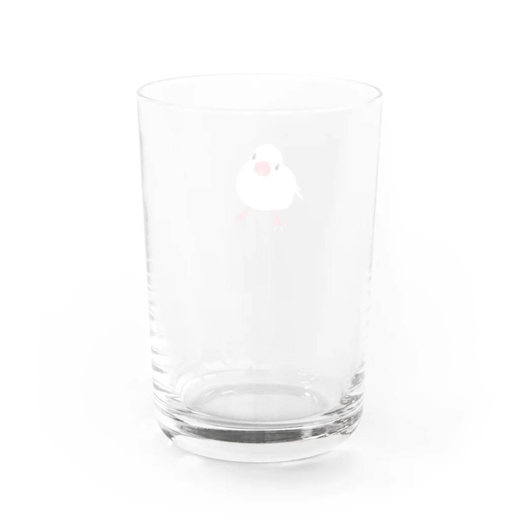 駄文ステップのおべんとをつけた白文鳥さんのグラス Water Glass :back