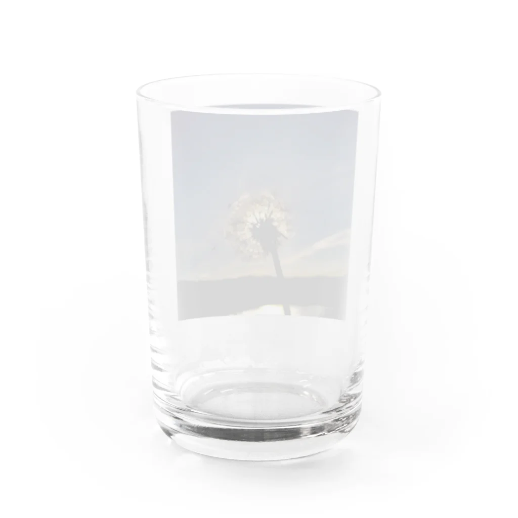 Oscarのわた毛 Water Glass :back