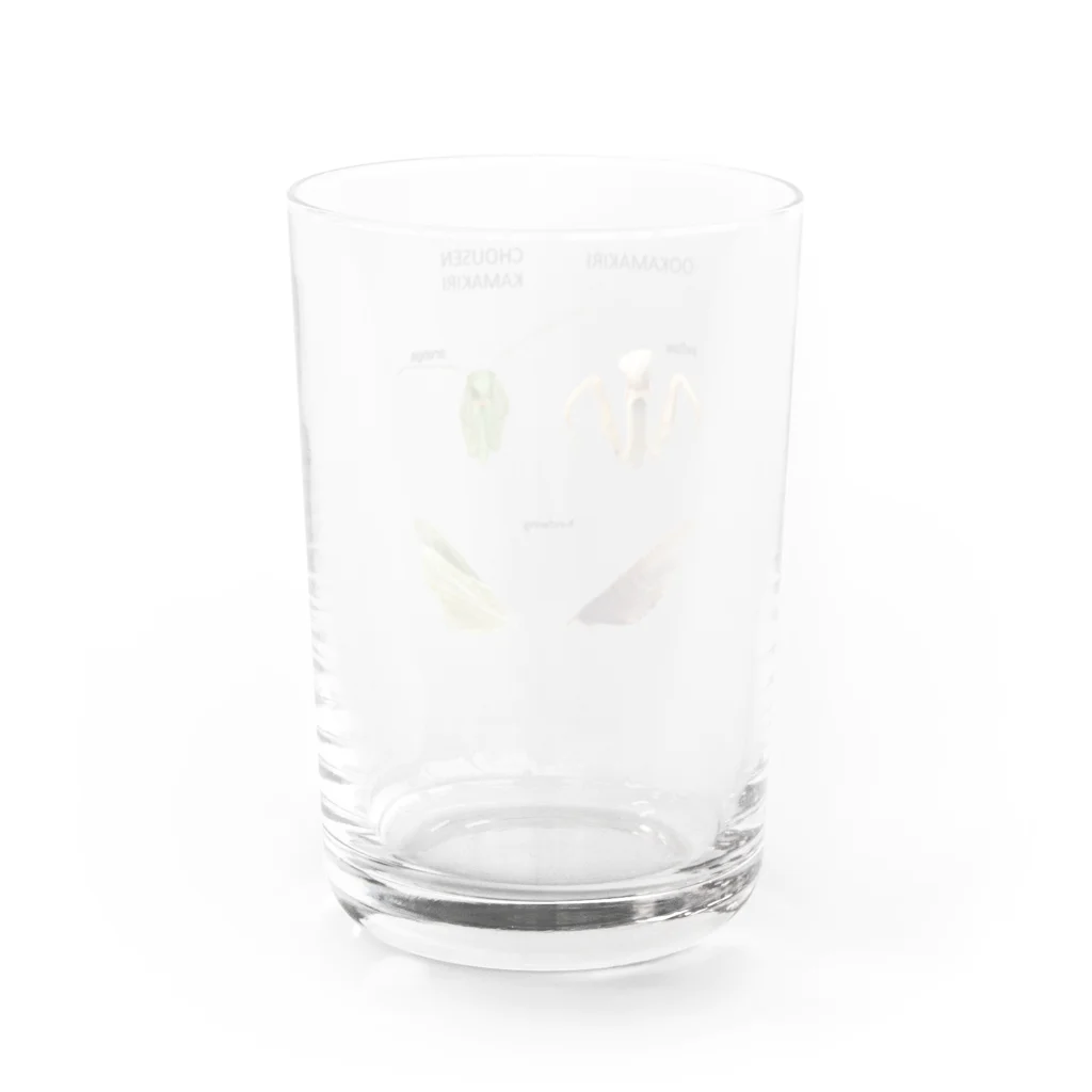 L_arctoaのオオカマキリとチョウセンカマキリ Water Glass :back