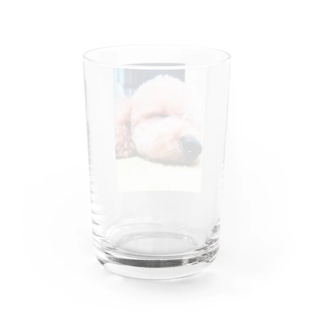 Bisonのsleep... Water Glass :back