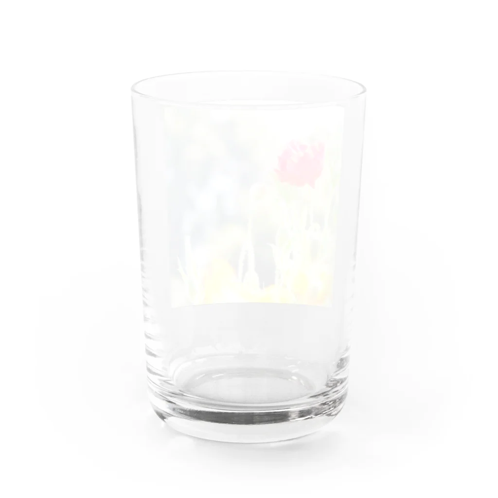 cloudlandのきらきらポピー Water Glass :back