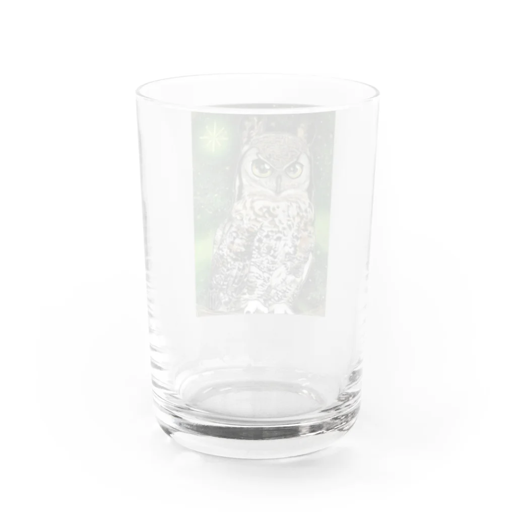 フクロウシホの深淵なミミズク Water Glass :back