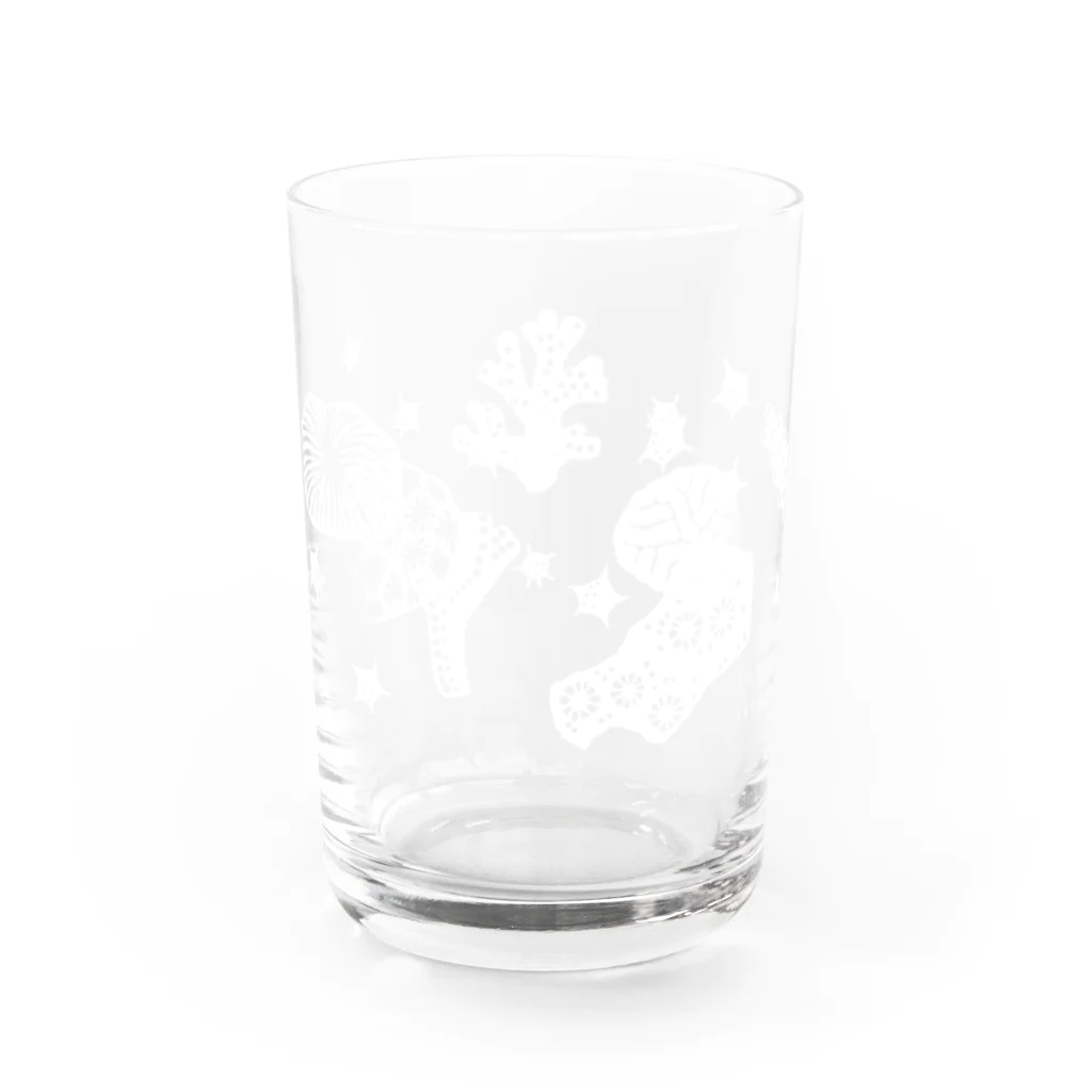 しまのなかまfromIRIOMOTEの造礁さんご Water Glass :back