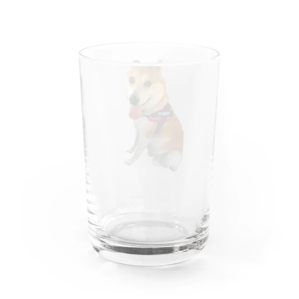 山内さんの子供たちのムサシ Water Glass :back