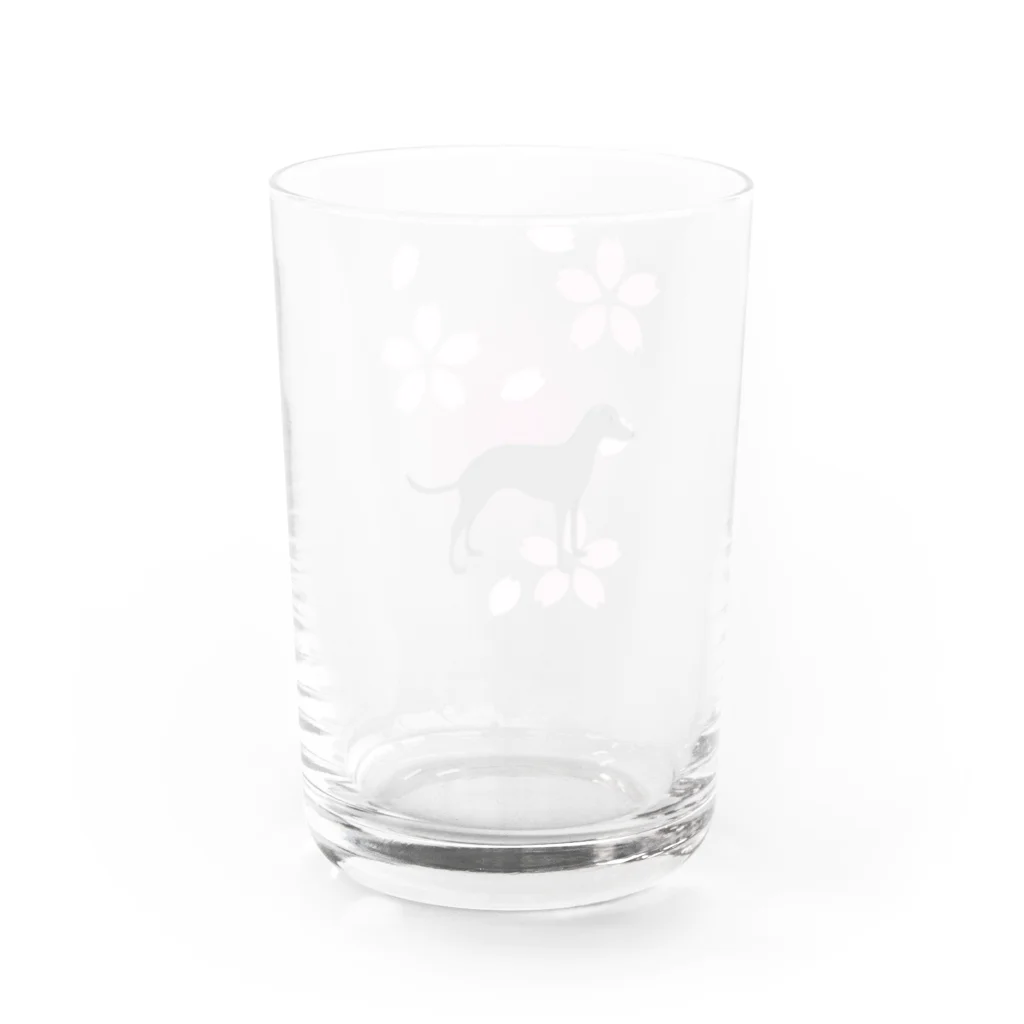 ふうふうたかのイタリアン・グレーハウンド Water Glass :back