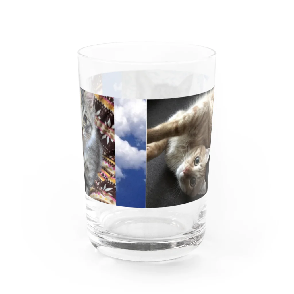 きなこ あずきショップのあずき ぎん きなこ Water Glass :back