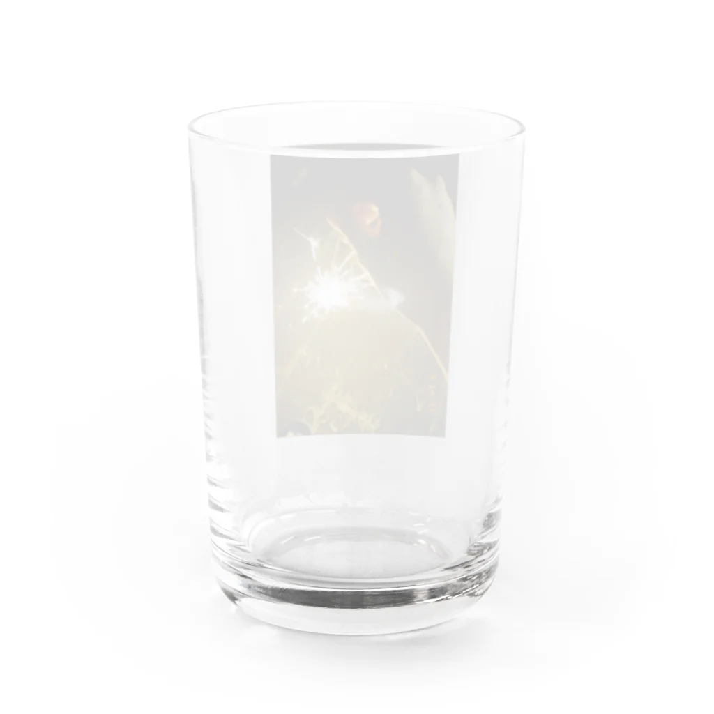 no negative in my lifeの2020の花火 Water Glass :back