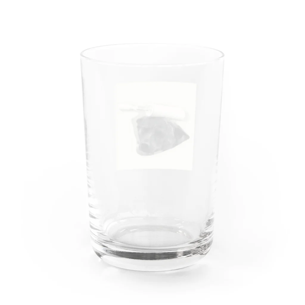 よく寝る甲斐犬のころころ Water Glass :back