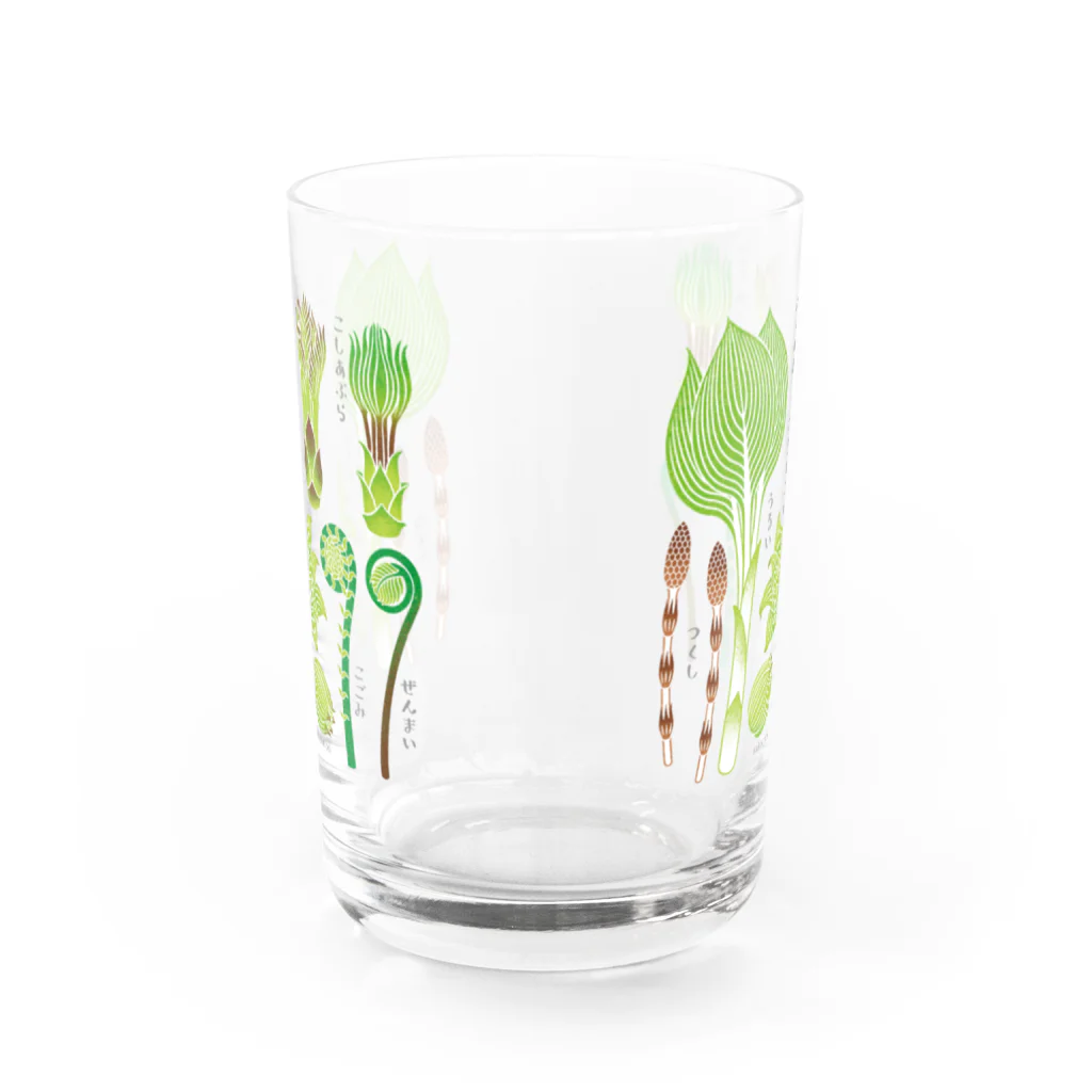 saito_yoko_illustrationの山の幸＿山菜Ver.グラス Water Glass :back