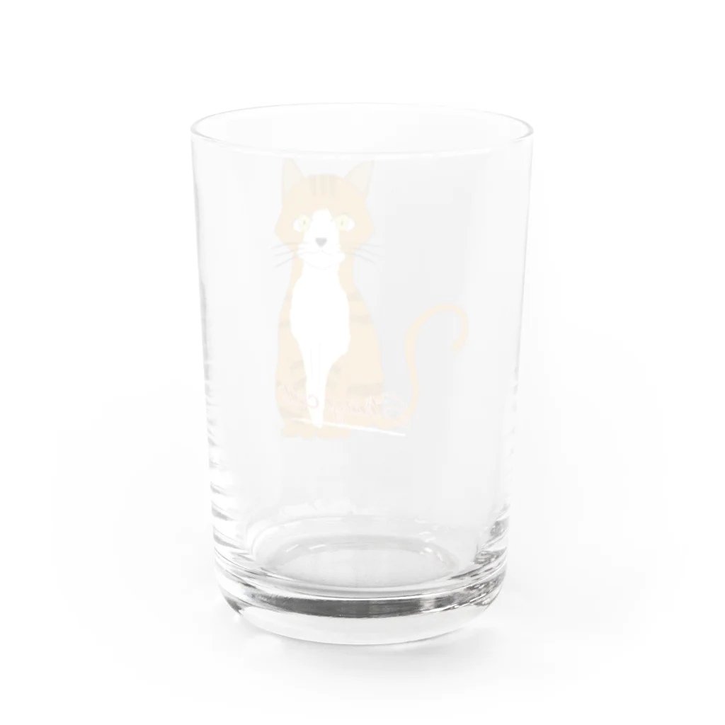 chicodeza by suzuriの野良猫ちゃん Water Glass :back