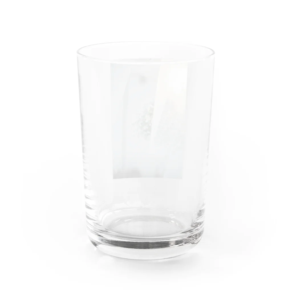 1993のレースとかすみ草 Water Glass :back