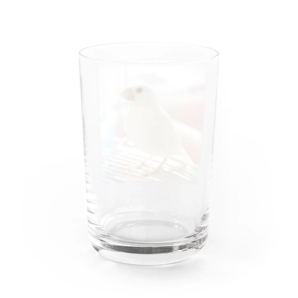 obのなちゅ Water Glass :back