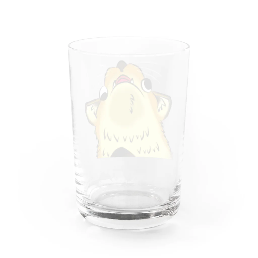 YUSHINのＲ FAMILY-11 Water Glass :back