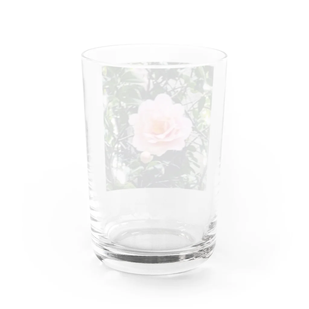 お花の双葉のカメリア Water Glass :back