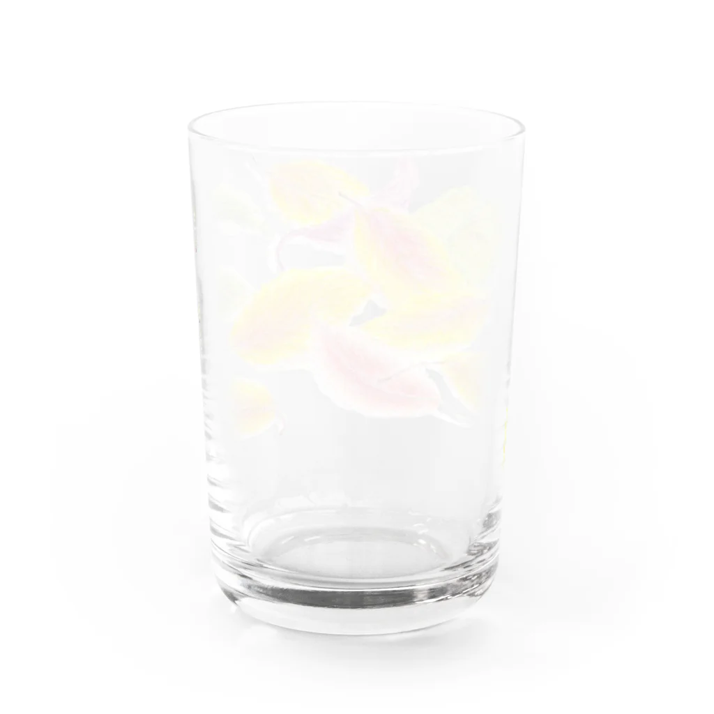 さちこの色鉛筆の散歩道 落ち葉 Water Glass :back