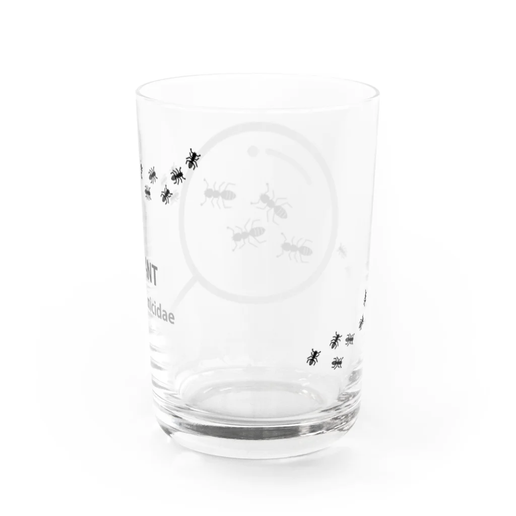 ベビープラスマイルの【虫めがね】アリを見つけた！ Water Glass :back