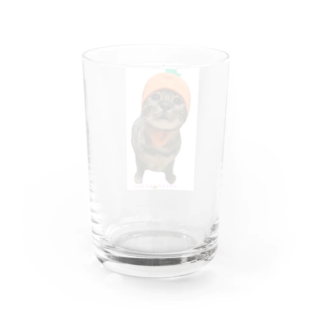 ヒョウ柄にゃんこアルバの被り物王子アルバ(にんじん) Water Glass :back