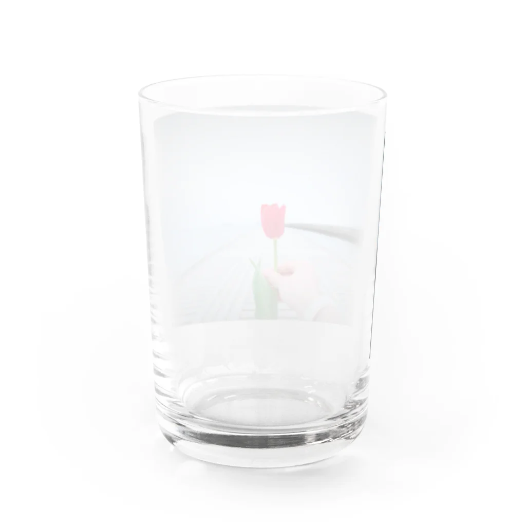 K-sampoのガラスのチューリップ（グラス） Water Glass :back