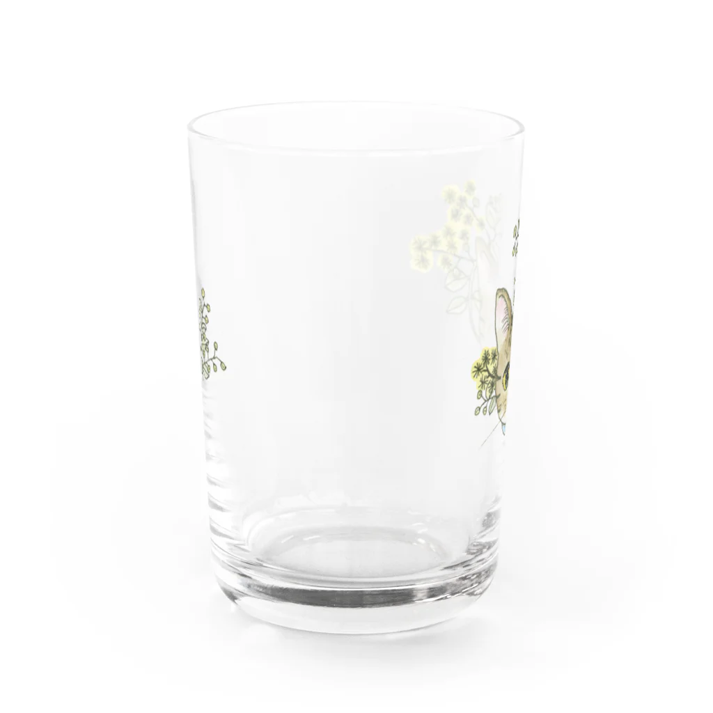 ブリキ屋の猫とパールアカシア2 Water Glass :back