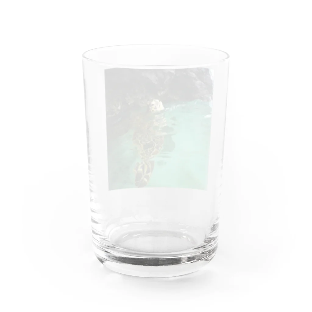 Monokomono+のホノルルホヌ Water Glass :back