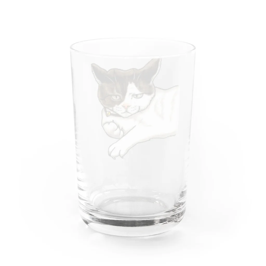 鼠の王国製作所の猫相の悪い猫がこちらをみている グラス反対面
