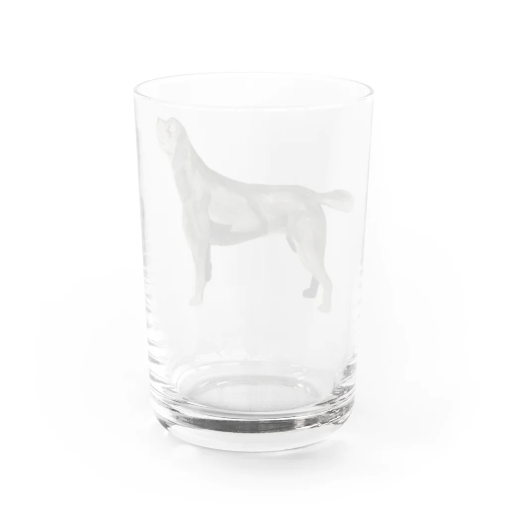 Coshi-Mild-Wildのラブラドールレトリバーでござる😉 Water Glass :back